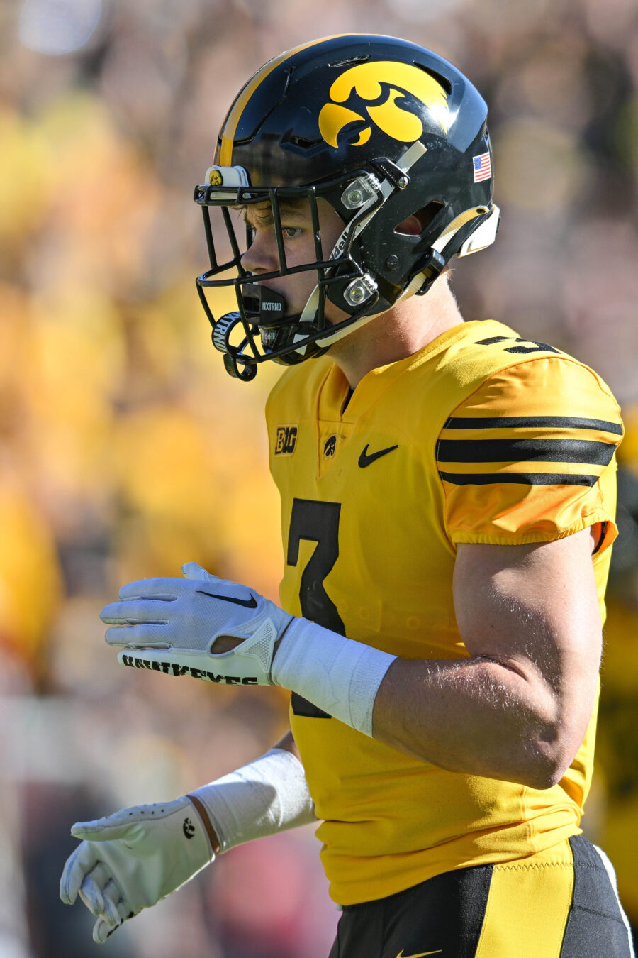 NCAA Football: Minnesota at Iowa