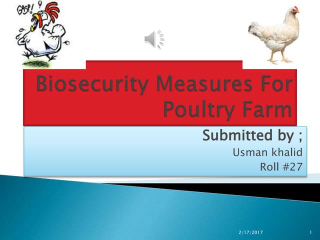 cracking-the-crisis-understanding-the-impact-of-bird-flu-on-the-egg-industry