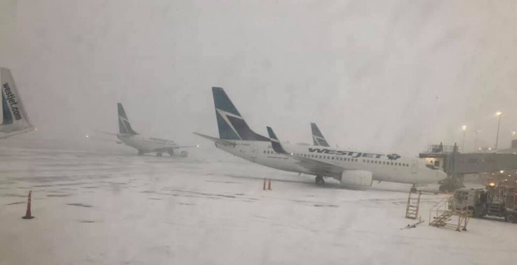 delta-flight-4819-a-harrowing-tale-of-survival-at-toronto-pearson-airport