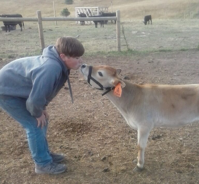 h5n1-bird-flu-a-groundbreaking-case-of-animal-to-human-transmission-on-a-nevada-dairy-farm