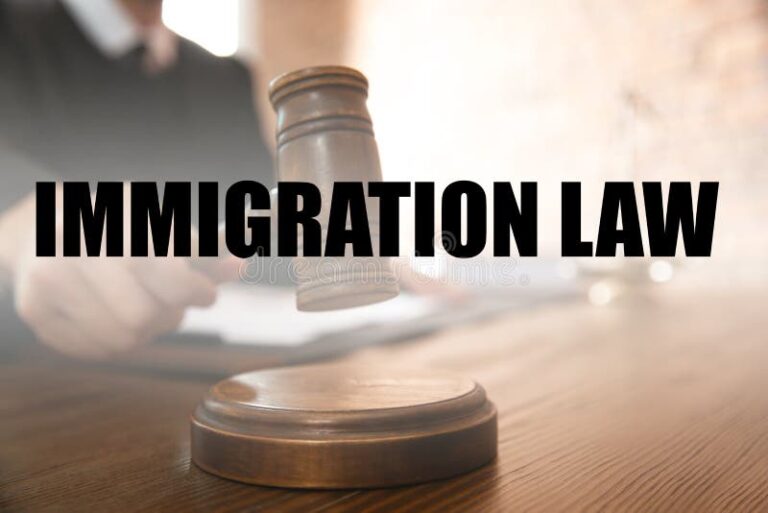 judge-edwin-pieters-a-dismissal-that-highlights-flaws-in-the-immigration-system