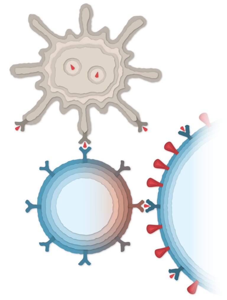 modernas-2024-financial-results-a-shift-toward-innovation-and-seasonal-vaccines