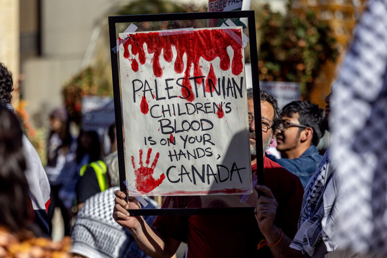Pro-Palestine Protest