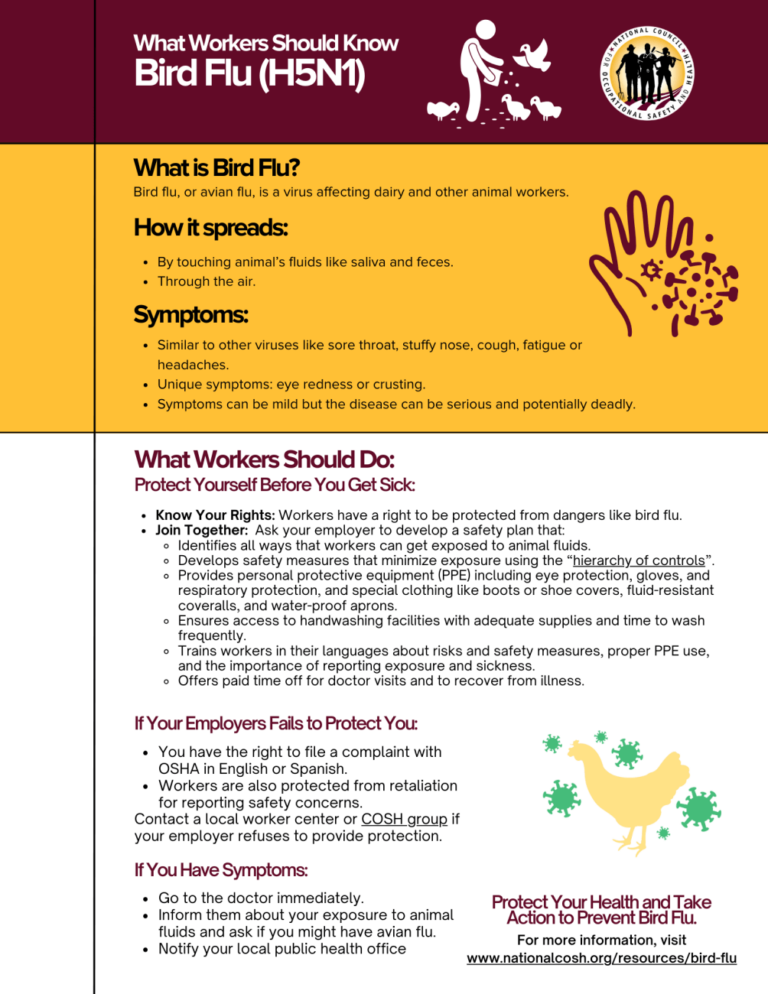 ohios-first-human-case-of-bird-flu-understanding-the-risks-and-safety-measures