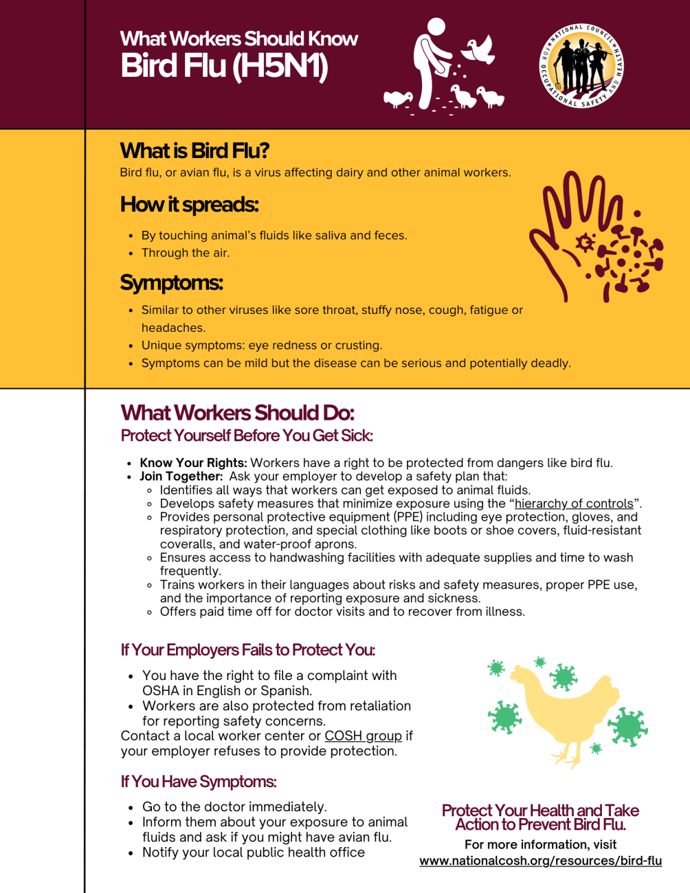 ohios-first-human-case-of-bird-flu-understanding-the-risks-and-safety-measures