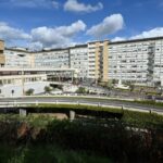 pope-francis-shows-positive-signs-of-recovery-amid-hospital-stay