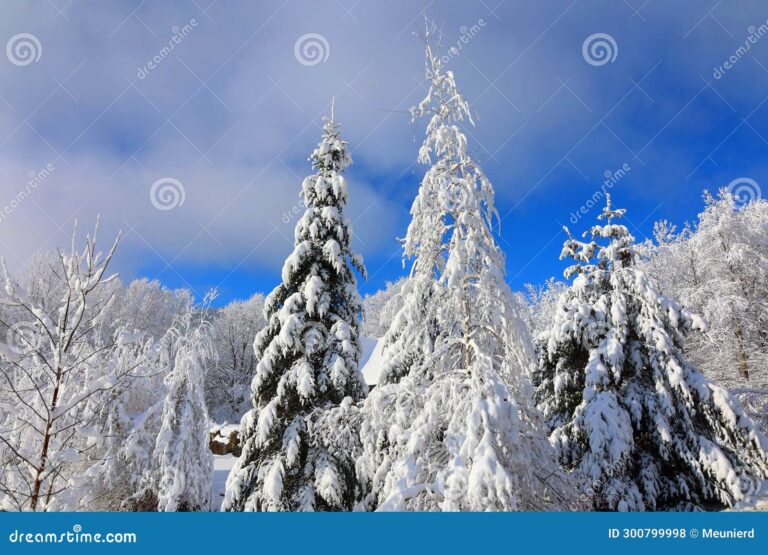 snow-preparedness-essential-tips-for-the-upcoming-winter-storm
