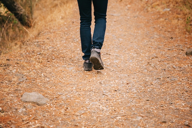 step-into-health-unlocking-the-benefits-of-daily-walking