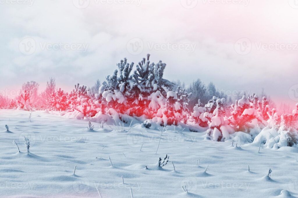surviving-the-storm-essential-tips-for-the-winter-blast-ahead