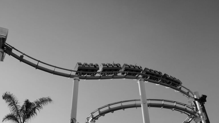 the-roller-coaster-of-software-updates-blessing-or-burden