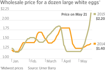 the-surge-in-egg-prices-understanding-the-bird-flu-impact-and-its-effects-on-consumers