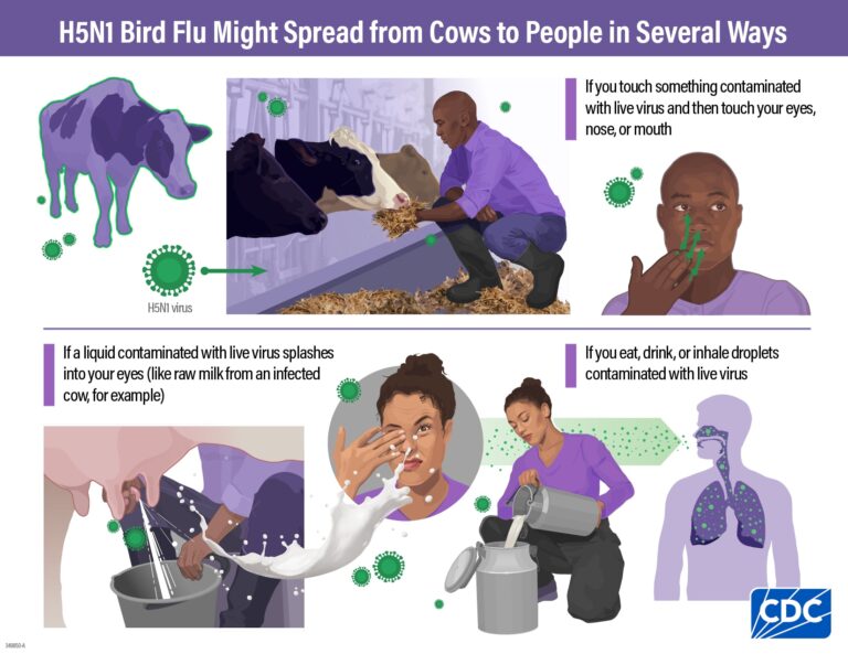 the-surprising-spread-of-h5n1-what-veterinarians-must-know