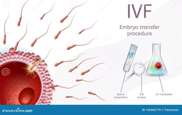 trumps-executive-order-on-ivf-paving-the-way-for-accessible-family-growth