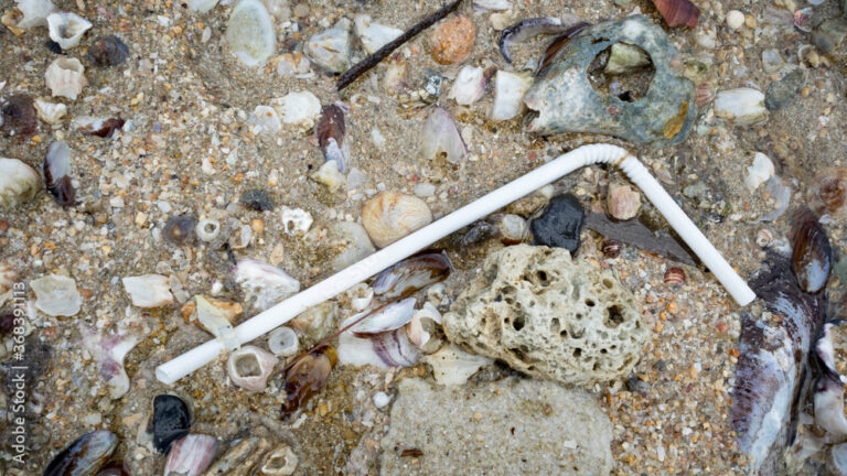 trumps-straw-wars-navigating-the-controversy-over-plastic-vs.-paper