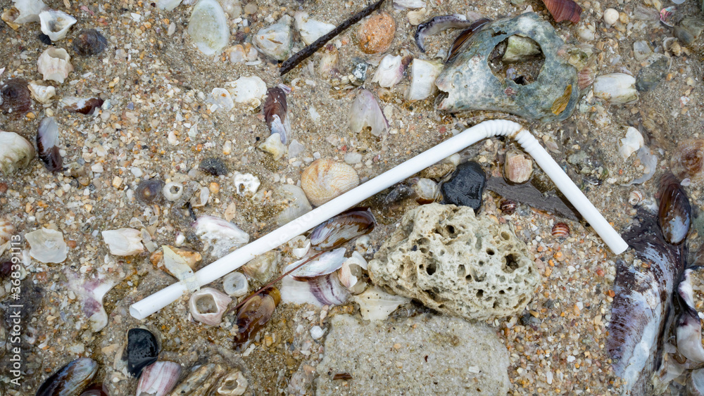 trumps-straw-wars-navigating-the-controversy-over-plastic-vs.-paper