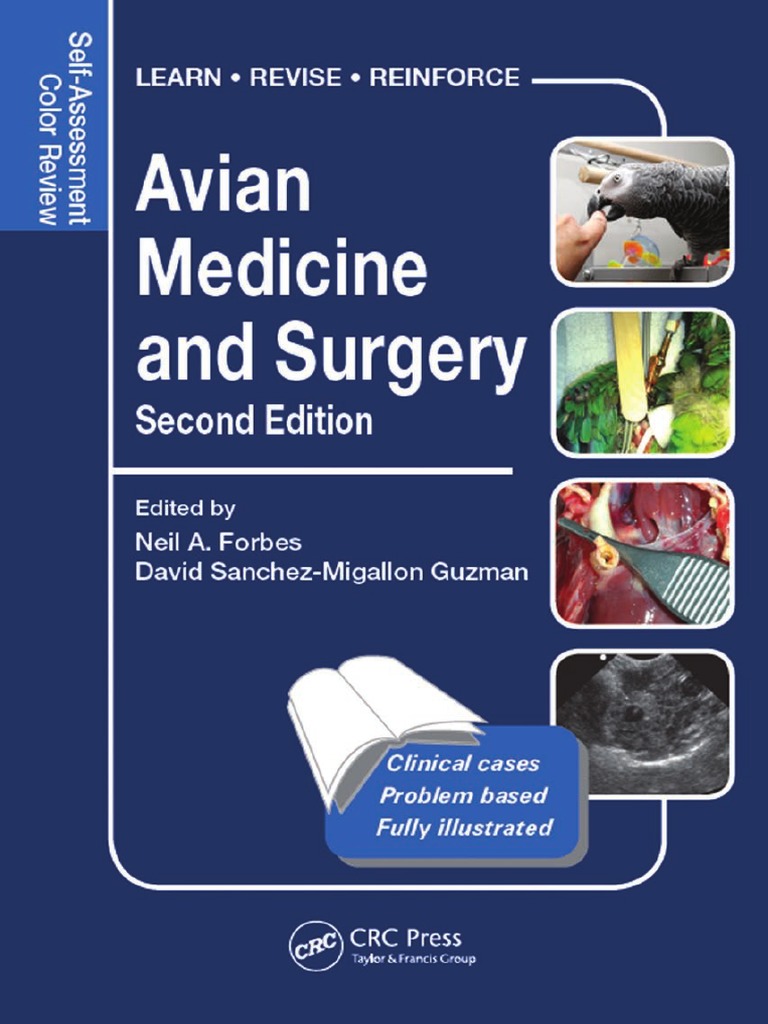 unveiling-bird-flu-asymptomatic-risks-for-veterinarians-and-public-health-implications