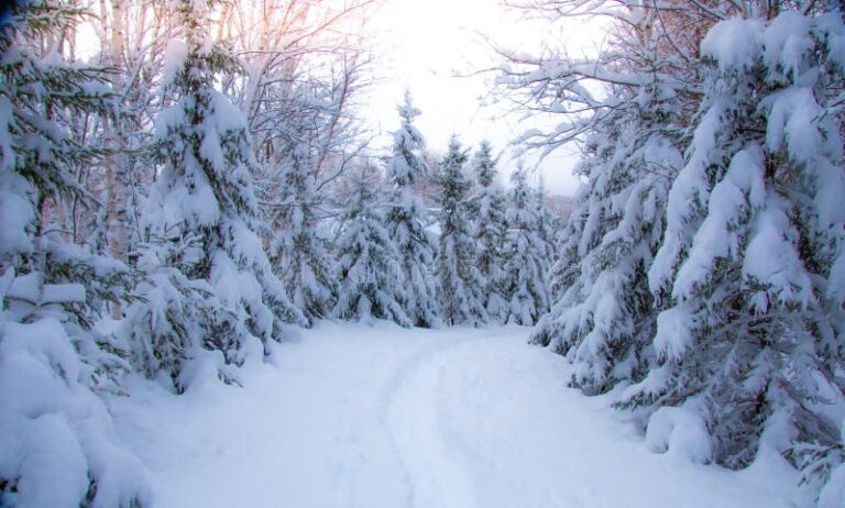 weathering-the-storm-community-resilience-amidst-the-fury-of-winter-2023