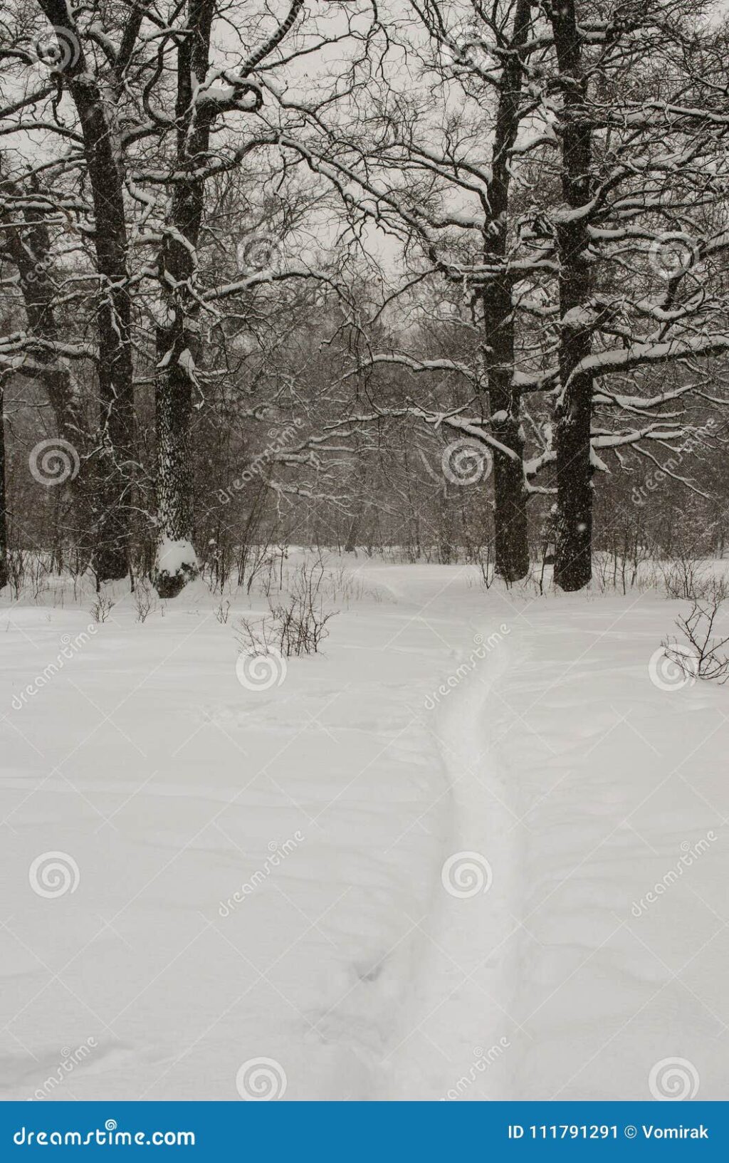 winter-storm-disrupts-super-bowl-festivities-across-the-north