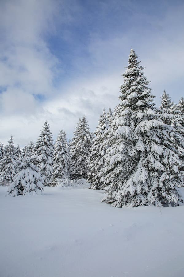 winter-wonderland-alert-major-snowstorm-set-to-hit-d.c.-area